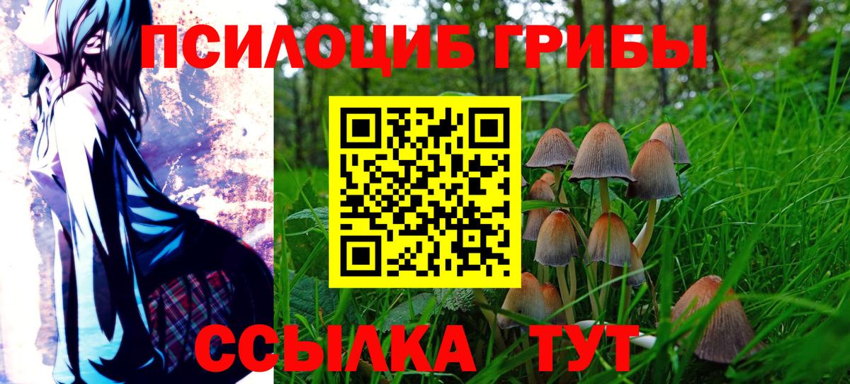 Мыски  Псилоцибиновые грибы мицелий  хочу наркоту  Галлюциногенные грибы прущие грибы  Вход с VPN 